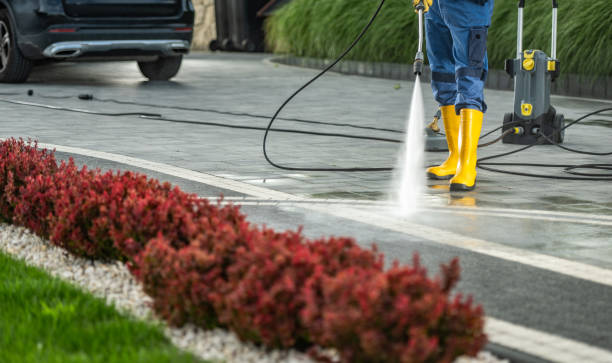 Best Building Exterior Washing  in Chilhowie, VA